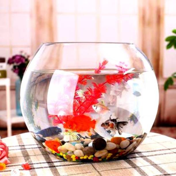 BILAL ANSARI Aqua_07 presenting cute & glossy looking glass fish aquarium (pack of 1, 8 inch) Round Ends Aquarium Tank