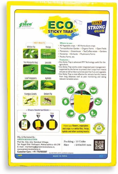 Green Revolution Yellow / Blue Sticky Trap A4 Size Pack of 1 (10 Pieces)