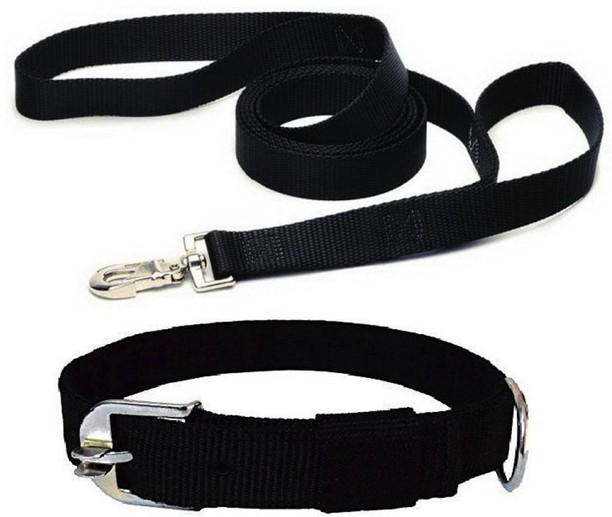 dog belt online flipkart