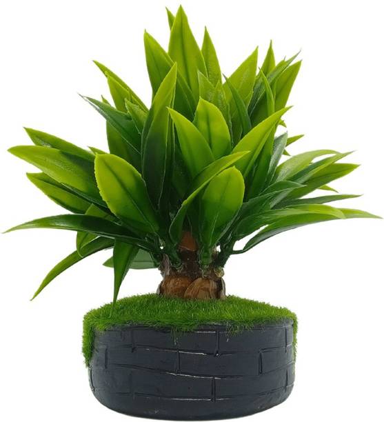 Blooming Yard Wild Artificial Flower | You will Love this | Perfect for Decor and Gifting Green Wild Flower Artificial Flower  with Pot