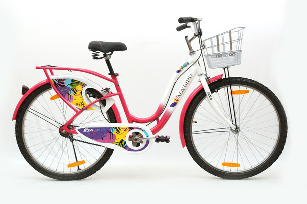 Bsa cycle 22 inch 2025