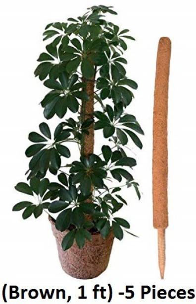 4K Agro Coco Pole -Moss and Coir Stick for Indoor, House and Plant Creepers Support (Brown, 1 ft) -5 Pieces Garden Mulch
