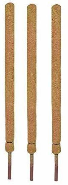 Mulch Masters 2 Feet Coir Moss Stick/Coco Pole for Climbing Indoor Plants Pack of 3 Garden Mulch