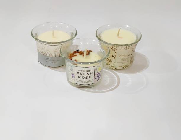 shellkrafts Scented organic Soy candle|pack of 3|Gift set|Diwali candles|burns 6-8hours Candle