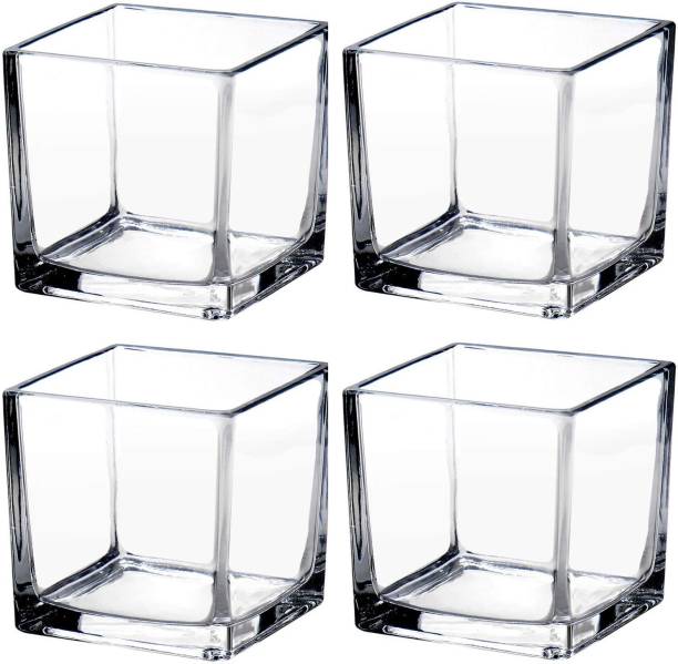 BILAL ANSARI Square Glass Cube Tank 4" 11 Cube Aquarium Tank