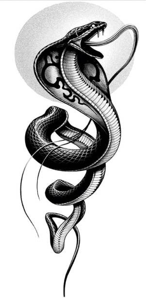 komstec Snake Animal Tattoo Waterproof Sticker Background Stock Temporary Body Tattoo