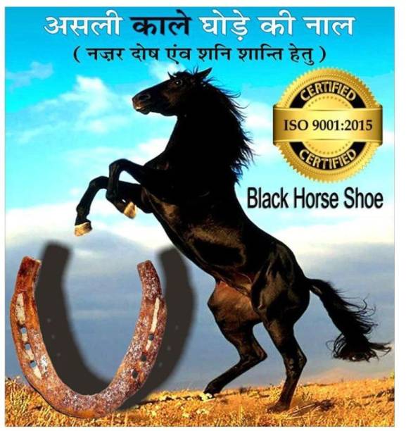 lootnixx Cyan spritual 100% Original Black Horse Shoe Kaale Ghode ki Naal Mantra Siddh with Shabar Mantra Cast Iron Yantra Iron Yantra (Pack of 1) Iron Yantra