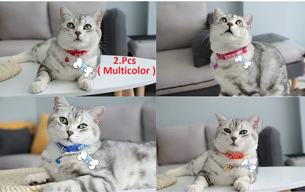 cute kitten collars