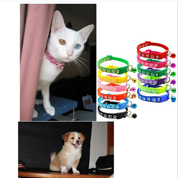 cheap cat collars