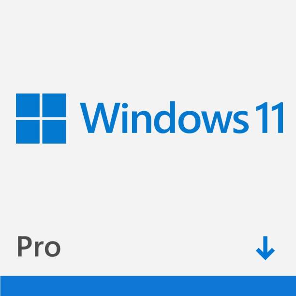 MICROSOFT Windows 11 Professional OEM,1 PC,Lifetime Validity Professional 64-bit