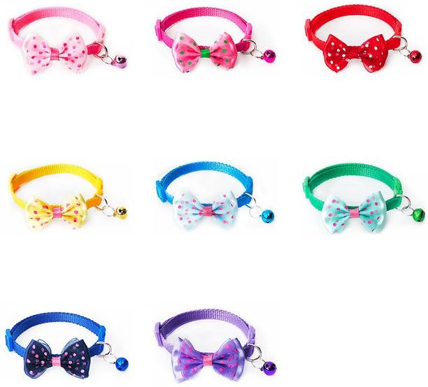 Cat Collars Buy Cat Collars Online at Best Prices In India