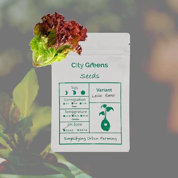 CityGreens Lollo Rosso - Lettuce Seed