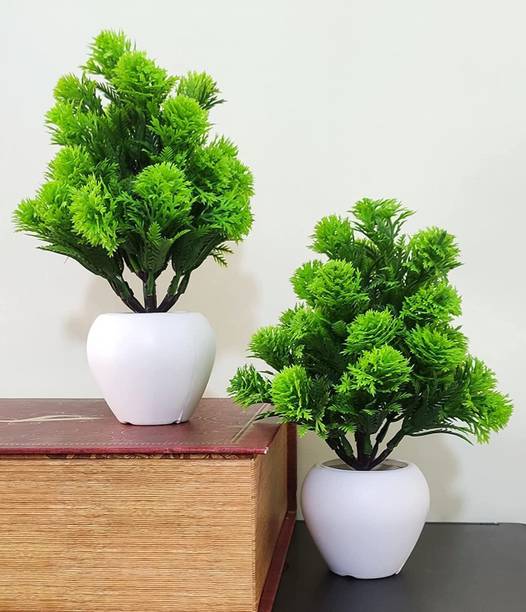 Artificial Plants Starting At Rs 89 In India Flipkart Com - Artificial Plants Decor Ideas Artificial Plants Starting At Rs 89 In India Flipkart Com - Artificial Plants Decor Ideas
