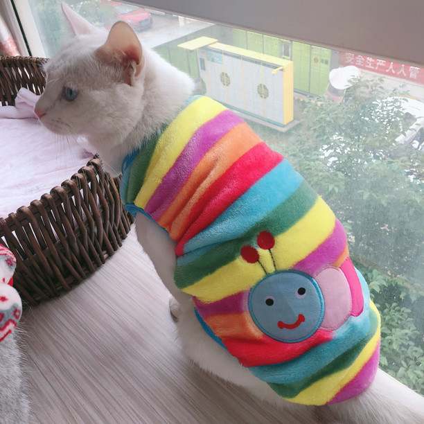 cat clothes online