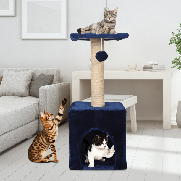 cat tree online