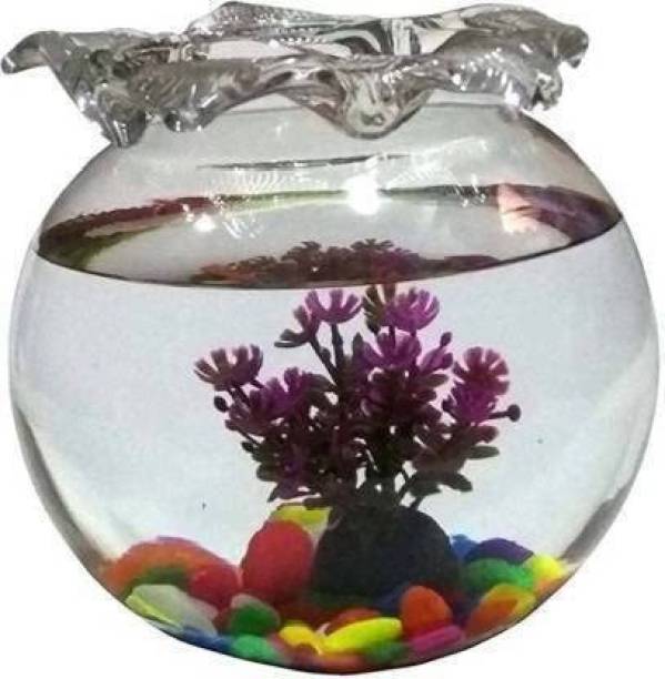 Virya Clear Glass Aquarium with Jhallar Round Neck --8inches Round Ends Aquarium Tank