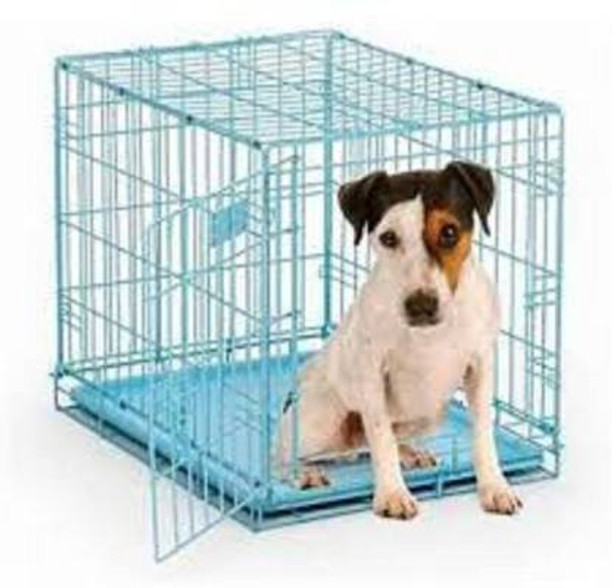 coloured dog crates