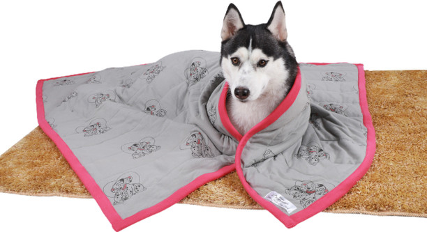 cheap dog blankets