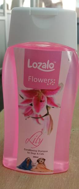 Lozalo LOZ 19 CSH LILY Manual Pet Grooming Table