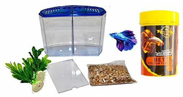 plastic aquarium