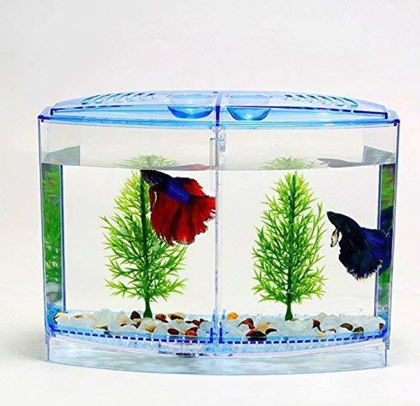 plastic bin fish tank