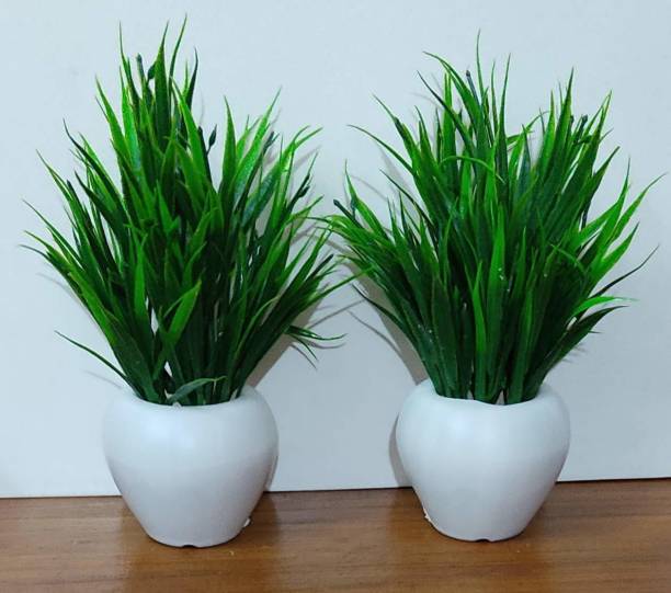 Artificial Plants Starting At Rs 89 In India Flipkart Com - Plastic Bottle Artificial Plants For Home Decoration