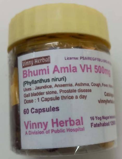 Vinny Herbal Bhumi Amla VH 500mg Capsules 60 Caps