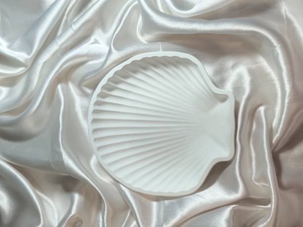 Diviner Saga Shell shapeTrinket Dish | Jewellery Dish|Decorative Trinket Plate ( White) Sectioned Plate