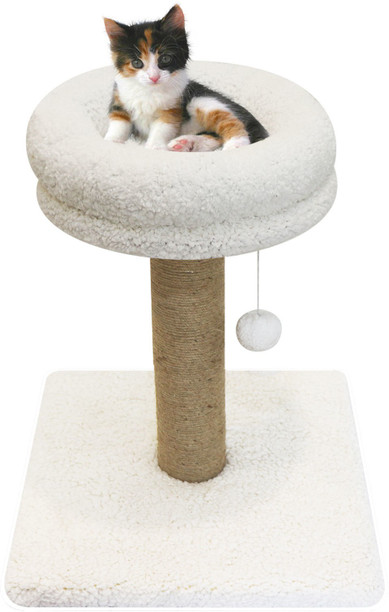 best cheap cat tree