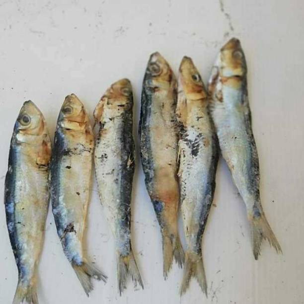 Aathesh dry fish & enterprise Dry fish matthi sala Fish...