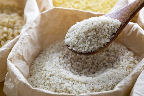 Veganic Samak Chawal | Sama Rice For Fast | Samvat Ke Chawal | Barnyard Millet (500 G) Rice (Mini Broken Grain, Raw)