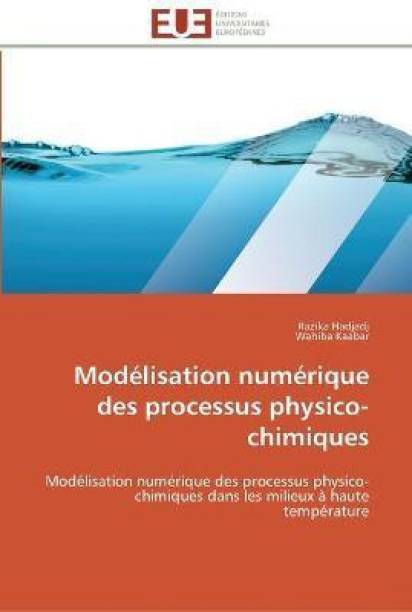 Modelisation numerique des processus physico-chimiques