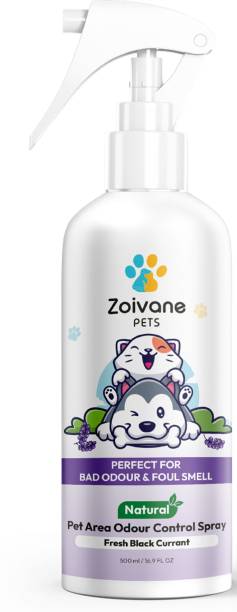 Zoivane Black Current Deodorizer
