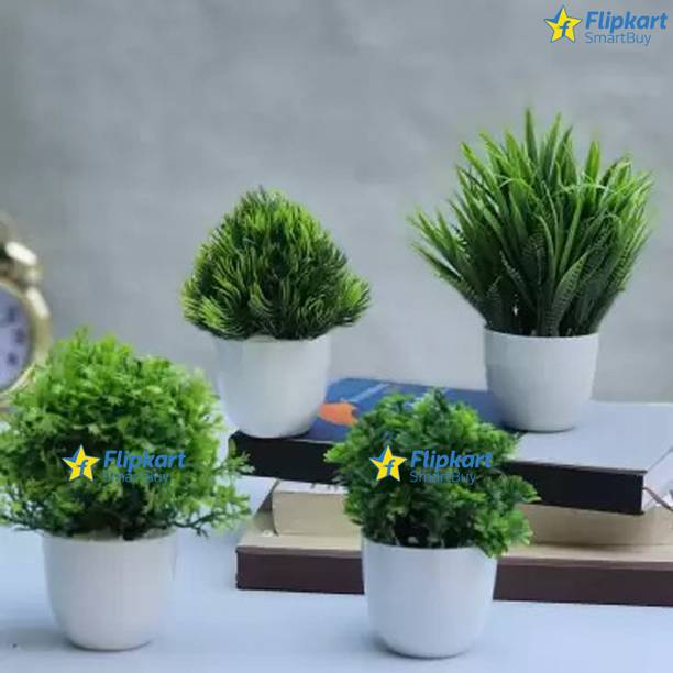 Buy Artificial Plants Online In India 13Feb23