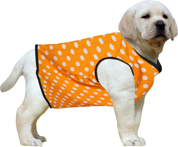 puppy clothes for winter