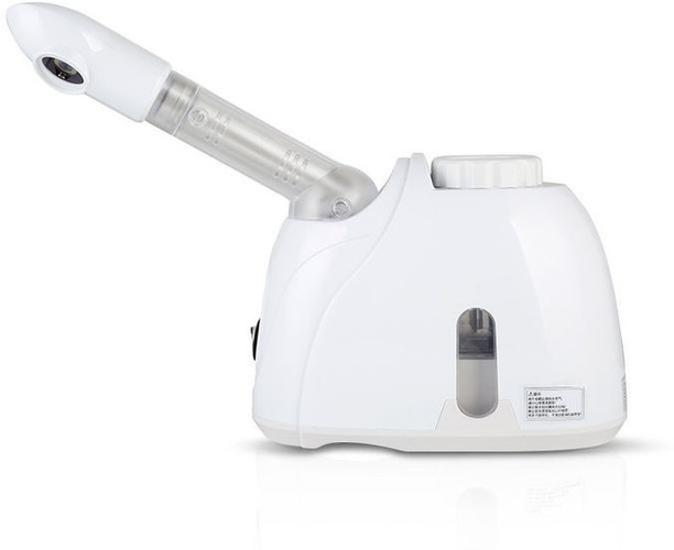 best steamer on flipkart