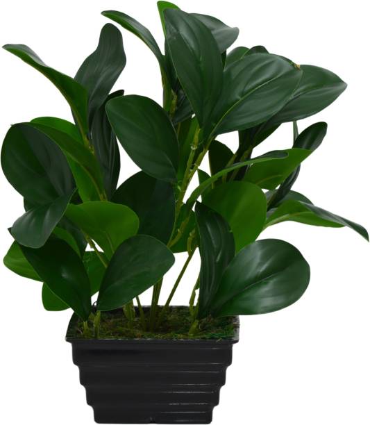 fancymart artificial plant rubber big leaves with pot Artificial Plant  with Pot