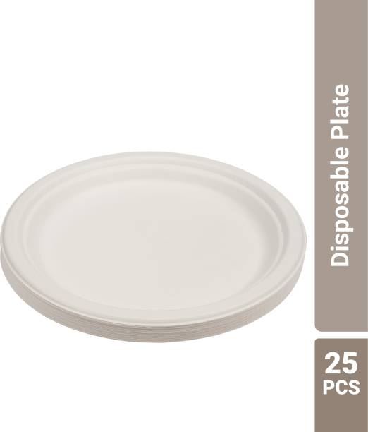Flipkart Supermart Disposable Plate 10 inch Rice Plates