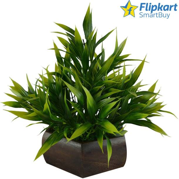 Flipkart SmartBuy Wild Artificial Plant  with Pot