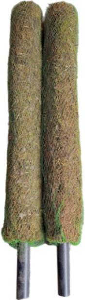 Natures Work Moss Stick 2' (Set of 2 Sticks) For Money Plant and other Climbers Etc Garden Mulch