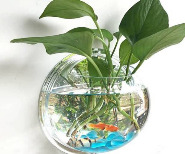 SAVORADE Wall Mount Acrylic Fish Aquarium Bowl Tank for Small Betta Fish & Plants aqua_04 Round Ends Aquarium Tank
