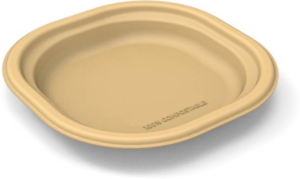 VLG Eco-Friendly Plates for Birthday and Party, 6" Snack Plate Half Plate