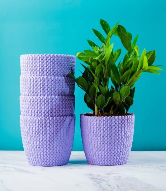 SNSHOPEE (Pack of 5) Plastic Vase