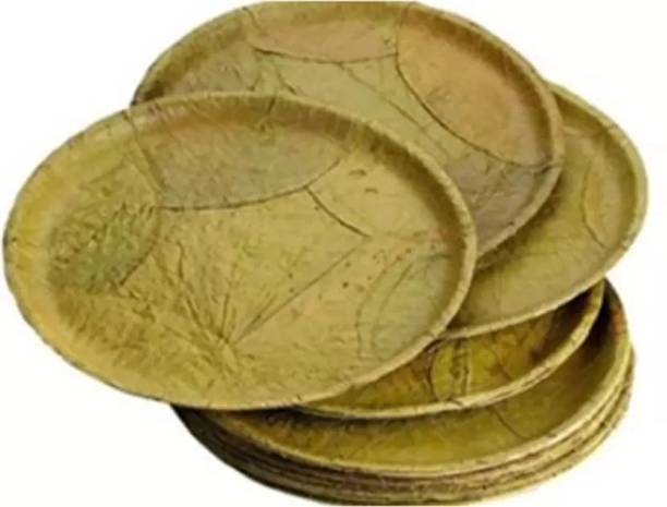 Quench Natural Biodegradable Disposable SAL Leaf Plates (Pack of 40) Dinner Plate