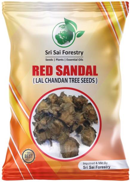 SRI SAI FORESTRY RED SANDALWOOD, LAL CHANDAN, RAKTA CHANDAN, Pterocarpus Santalinus (250 GRMS) Seed