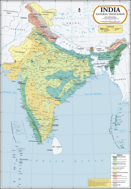 India Map : Natural Vegetation Paper Print