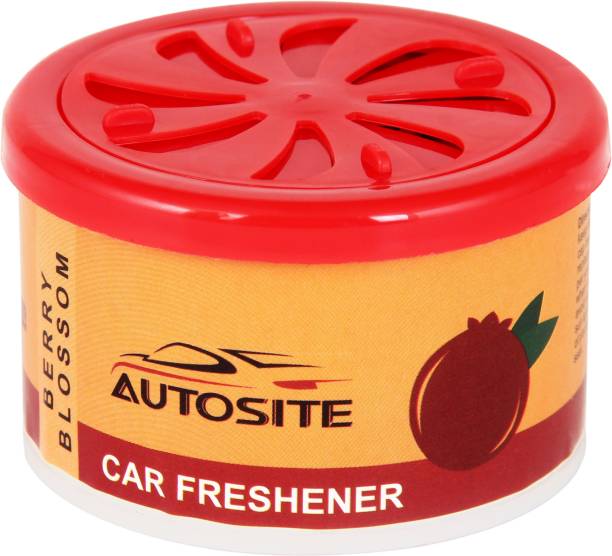 AUTOSITE Berry Blossom Car Freshener