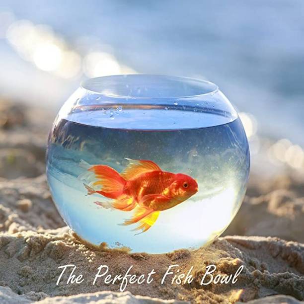 Artifice medium 8 inch aquarium fishbowl vase for home,restaurants,hotels,center table wc Round Ends Aquarium Tank
