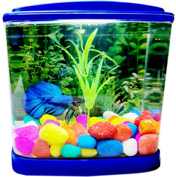 Fish Tank Buy Fish Tank online at Best Prices in India