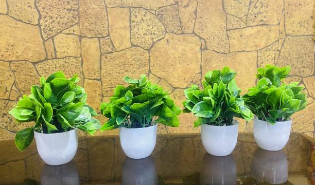 Ryme Bonsai Artificial Plant  with Pot
